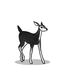 求个放心渠道的{固定网站名称23}